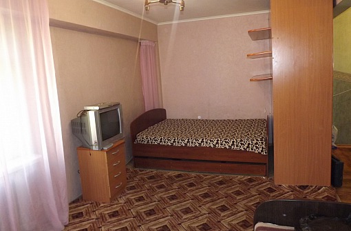 Турист - 1-комнатная квартира в свердловском районе - зал